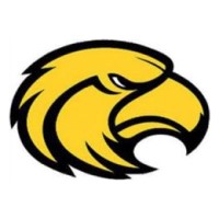 Fennimore Golden Eagles logo
