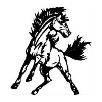 Monticello Ponies logo