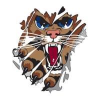Southwestern Wildcats logo