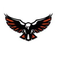 Viroqua Blackhawks logo