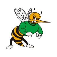 Wauzeka-Steuben Hornets logo